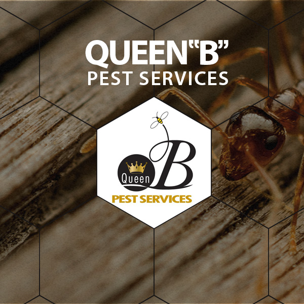 Timonium Pest Control - The Best Baltimore Pest Control And ...