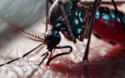 DON’T LET MOSQUITOES AND TICKS RUIN YOUR EVENT: PEST PRO QUEEN “B” PEST SERVICES SHARE THEIR SECRETS