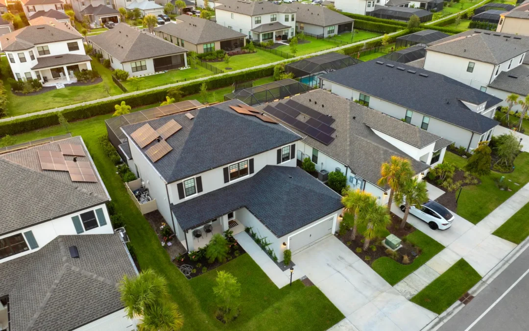 How to Get Your Baltimore Home Ready for Spring Pests