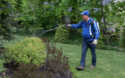 Tick Activity Is Rising in Baltimore, MD — Here’s How to Protect Your Family & Pets