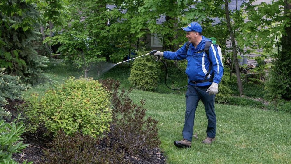 Tick Activity Is Rising in Baltimore, MD — Here’s How to Protect Your Family & Pets